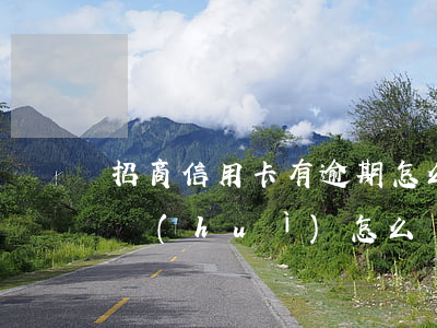 招商信用卡有逾期怎么處理(招商銀行卡逾期會(huì)怎么樣)