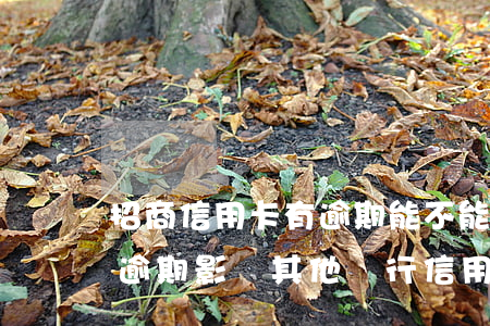 招商信用卡有逾期能不能提額-招商銀行有逾期影響其他銀行信用額度嗎