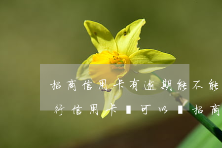 招商信用卡有逾期能不能辦銀行卡(欠招商銀行信用卡還可以辦招商銀行卡嗎)