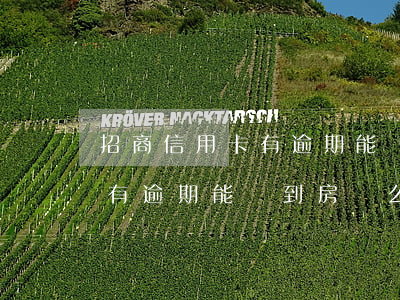 招商信用卡有逾期能辦到房貸么(招商信用卡有逾期能辦到房貸么)