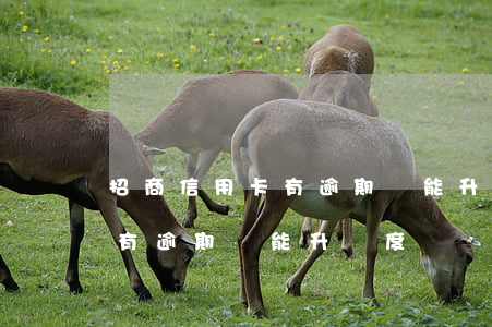 招商信用卡有逾期還能升額度嗎(招商信用卡有逾期還能升額度嗎)