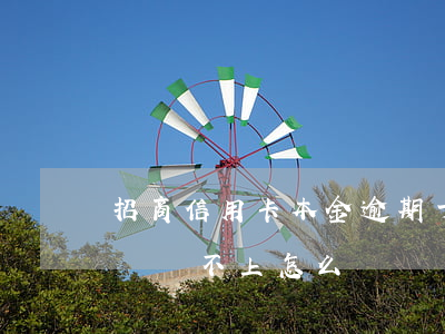 招商信用卡本金逾期十二萬(招商信用卡12萬還不上怎么辦)