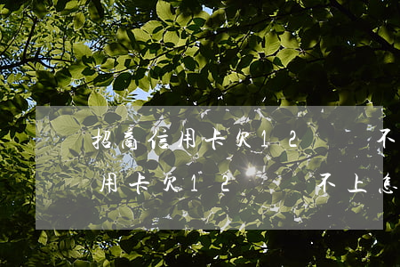 招商信用卡欠12萬還不上怎么辦-招商信用卡欠12萬還不上怎么辦呢
