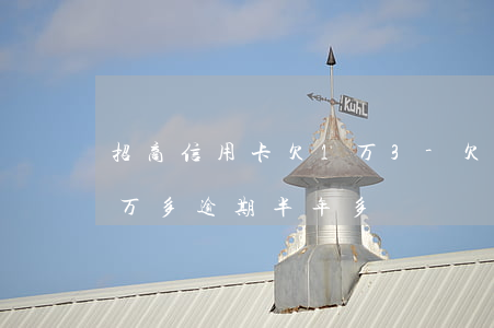 招商信用卡欠1万3-欠招商银行信用卡1万多逾期半年多