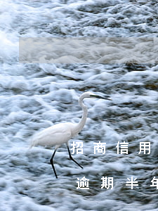 招商信用卡欠1萬逾期兩年(招商信用卡1萬逾期半年)