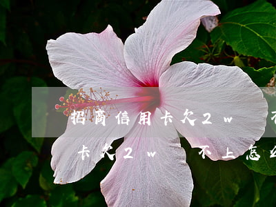 招商信用卡欠2w還不上怎么辦-招商信用卡欠2w還不上怎么辦