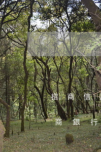 招商信用卡欠2萬一個月多少利息-欠款招商銀行信用卡2萬多半年怎么辦