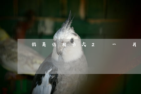 招商信用卡欠2萬一個月多少錢-