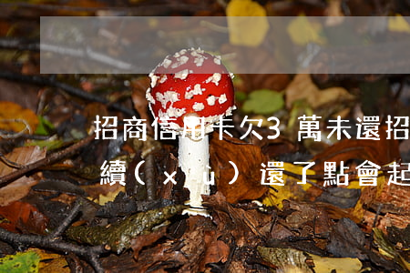 招商信用卡欠3萬未還(招商銀行欠三萬多,陸續(xù)還了點,會起訴不)