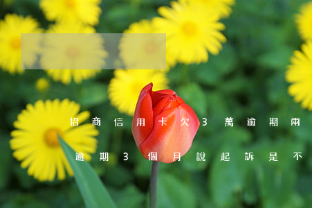 招商信用卡欠3萬逾期兩年(招商信用卡6萬逾期3個月說起訴,是不是真的)