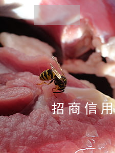 招商信用卡欠5萬(wàn)逾期