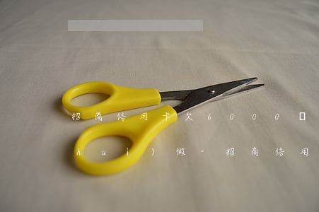 招商信用卡欠6000會(huì)不會(huì)做-招商信用卡欠6000會(huì)不會(huì)做失信人員
