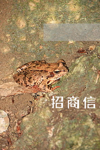 招商信用卡欠7萬逾期(招商欠三萬逾期一年)