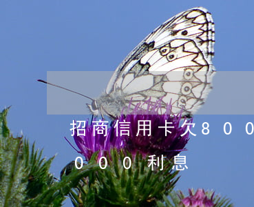 招商信用卡欠8000利息 招商信用卡欠8000利息