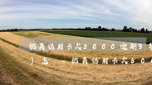招商信用卡欠8000逾期3年會(huì)怎樣-招商信用卡欠8000逾期3年會(huì)怎樣呢