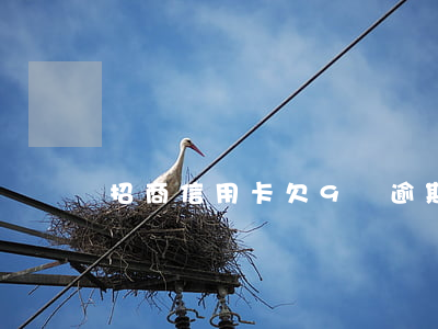 招商信用卡欠9萬逾期