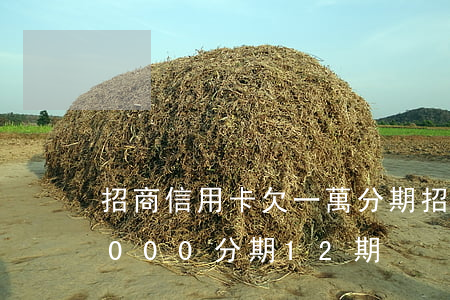 招商信用卡欠一萬分期(招商銀行信用卡10000分期12期)