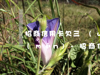 招商信用卡欠三萬(wàn)還不上找上門(mén)-招商信用卡欠三萬(wàn)還不上找上門(mén)催收