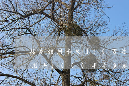 招商信用卡欠了10万逾期半年了(欠招商信用卡5000半年多起诉了怎么办)