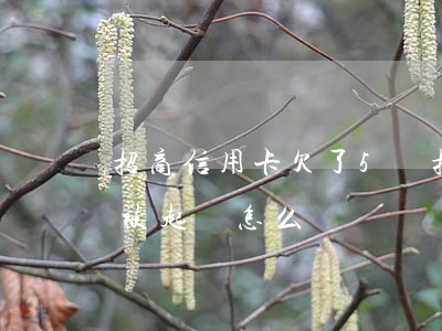 招商信用卡欠了5萬(招商信用卡欠5萬逾期,被起訴怎么辦)