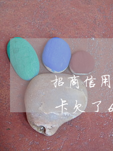 招商信用卡欠了6万还能办卡吗-招商信用卡欠了6万还能办卡吗知乎