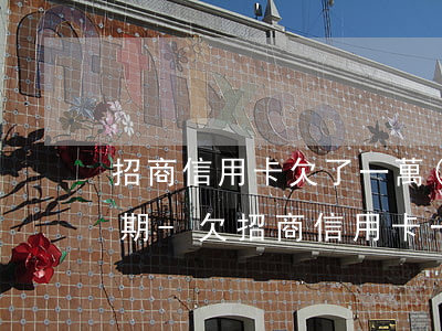 招商信用卡欠了一萬(wàn)怎么辦理分期-欠招商信用卡一萬(wàn)多塊錢真的會(huì)被起訴嗎