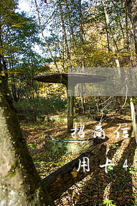 招商信用卡欠八千逾期三个月 欠招商银行信用卡4000块,逾期了3个月,会起诉吗?