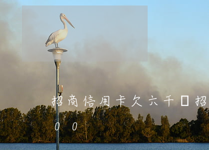 招商信用卡欠六千萬(招商銀行欠信用卡9000)