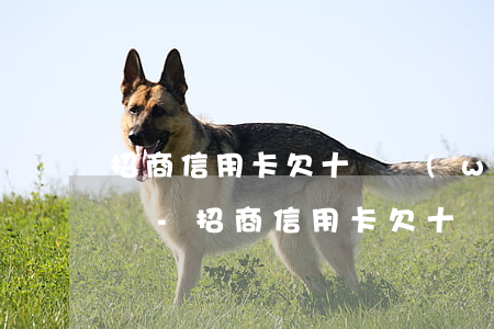 招商信用卡欠十幾萬(wàn)還不上怎么辦-招商信用卡欠十幾萬(wàn)還不上怎么辦呢