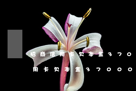 招商信用卡欠本金37000逾期-招商信用卡欠本金37000逾期會(huì)怎么樣
