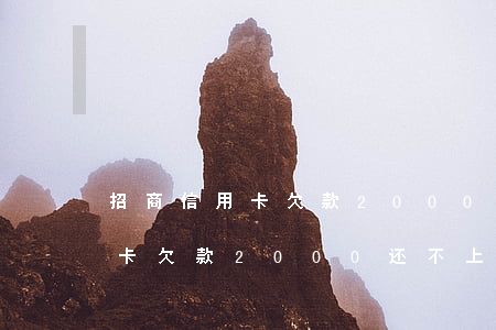 招商信用卡欠款2000还不上-招商信用卡欠款2000还不上会怎么样