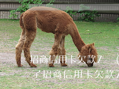 招商信用卡欠款7萬(wàn)多逾期4年了(招商信用卡欠款7萬(wàn)多逾期4年了怎么辦)