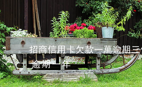 招商信用卡欠款一萬逾期三個月 招商欠三萬逾期一年