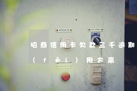 招商信用卡欠款三千逾期(招商信用卡逾期費(fèi)用太高)