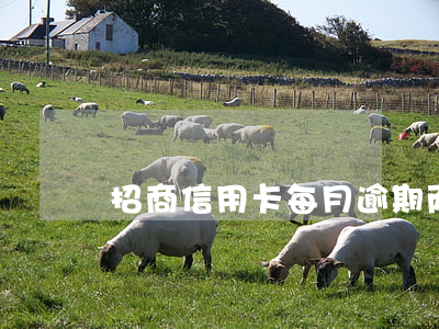 招商信用卡每月逾期两次的影响是什么？