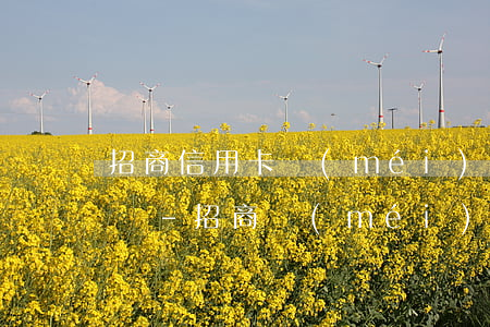 招商信用卡沒(méi)逾期可以辦理分期嗎-招商沒(méi)逾期可以協(xié)商分期嗎
