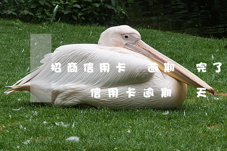 招商信用卡沒逾期還完了有啥待遇-招行忘記還信用卡逾期幾天會(huì)有不良記錄嗎