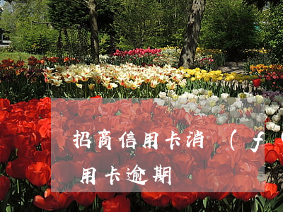 招商信用卡消費(fèi)逾期利息(招商信用卡 逾期)