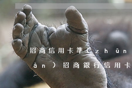 招商信用卡準(zhǔn)備逾期五萬(wàn)(招商銀行信用卡5萬(wàn)逾期三個(gè)月要起訴我真的么)