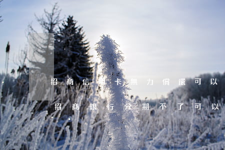 招商信用卡無力償還可以人工申請分期嗎-招商銀行分期不了可以打電話分期嗎
