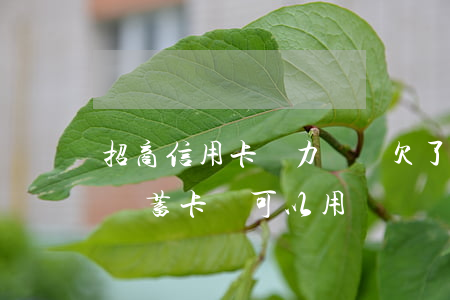 招商信用卡無力償還(欠了招商銀行的信用卡儲蓄卡還可以用嗎)