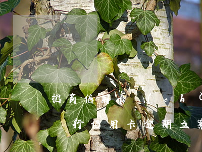 招商信用卡產(chǎn)生逾期記錄(招商銀行信用卡逾期立案處理是什么意思)