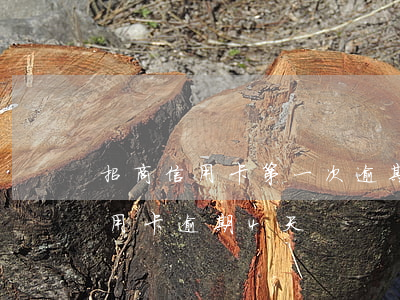 招商信用卡第一次逾期10天6(招商銀行信用卡逾期4天)