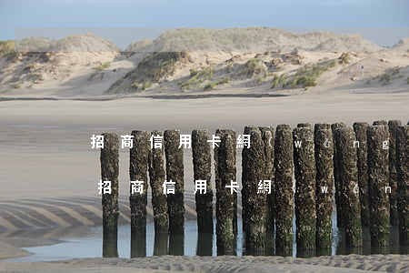 招商信用卡網(wǎng)上辦理逾期半年(招商信用卡網(wǎng)上辦理逾期半年了)