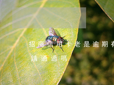 招商信用卡老是逾期(有逾期招商信用卡能申請通過嗎)