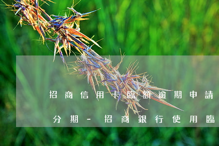 招商信用卡臨額逾期申請(qǐng)免息分期-招商銀行使用臨時(shí)額度逾期不還
