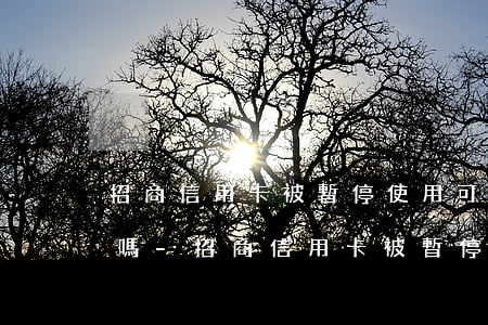 招商信用卡被暫停使用可以協(xié)商嗎-招商信用卡被暫停使用可以協(xié)商嗎