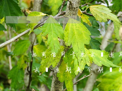 招商信用卡要求還逾期再分期 招商信用卡要求還逾期再分期還款