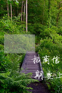 招商信用卡說逾期三個月上傳資料-招商逾期要上傳資料