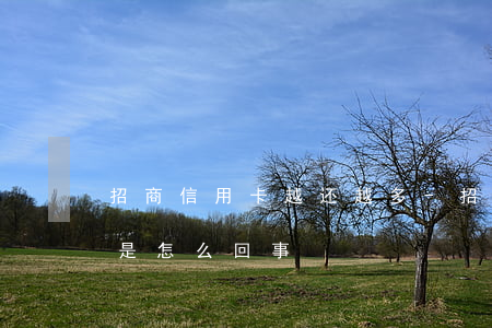 招商信用卡越还越多-招商信用卡越还越多是怎么回事